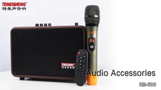 Haut-parleur en bois portable Haut-parleur de fête Bluetooth Haut-parleur de boîte à musique audio