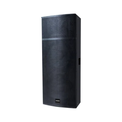Haut-parleur professionnel double 15 pouces Musique Audio Boombox Haut-parleur sans fil Bluetooth